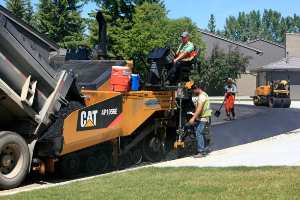 Best Custom Driveway Pavers  in Homer, IL
